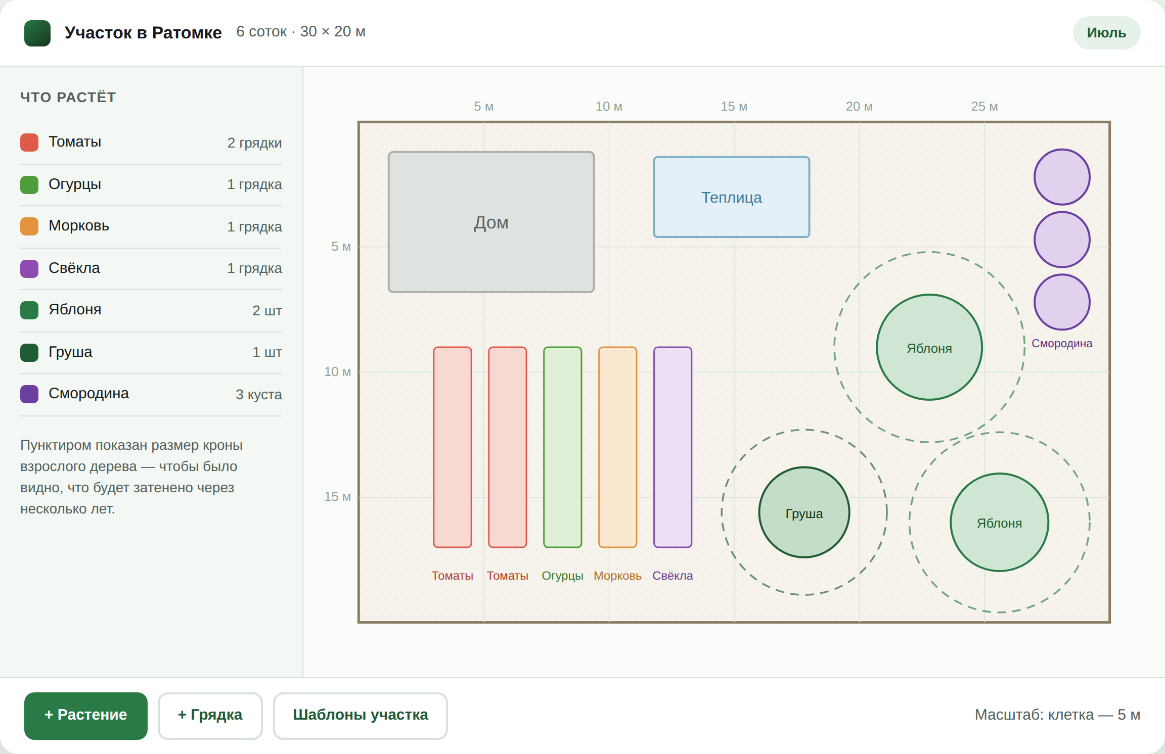 Схема дачного участка: грядки, теплица и плодовые деревья с подписями культур